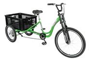 Triciclo De Carga P/ 150kg Multiuso Caixa Vazada Verde