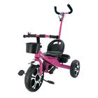 Triciclo Infantil Com Apoiador Meninos E Meninas - Zippy Toys