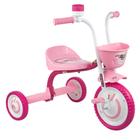 Triciclo Infantil com Cestinha Buzina Fon-fon Cor Rosa You 3 Girl Nathor - 100510160012