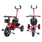 Triciclo Infantil Com Cinto de Segurança Meninos e Meninas - Zippy Toys