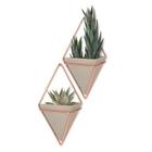Trigg - Conjunto com 2 vasinhos de parede Concreto e Cobre em Cerâmica e Metal Umbra