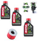 Troca De Oleo Kawasaki Ninja 250 3 Litros Motul 5100 15w50 + Filtro De Oleo