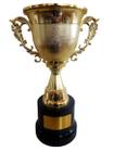 Trofeu Taça Original Modelo Grande Destaque No Campeonato