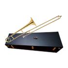 Trombone de Vara Eagle TV600 Laqueado