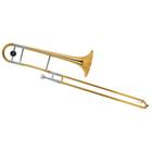 Trombone De Vara Tb 200v Laqueado Dourado Com Case New York F097