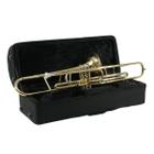 Trombone Profissional Stb-Gp301G Sebastian