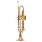 Trompete em Sib Bb Tokai Gold Brass Alpaca Laqueado TR400GB