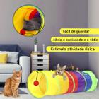 Túnel Para Gato Brinquedo Interativo Gatos Labirinto Dobrável Pet Colorido