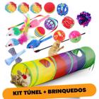 Túnel para gatos interativo brinquedo filhotes