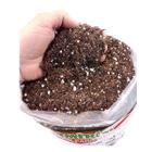 Turfa Perlita e Casca de Arroz Carbonizada Substrato Misto plantar Suculentas plantas geral enraizar semear - 50 Litros