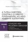 Tutela inibitoria coletiva e o direito fundamental ao meio ambiente sustentavel, a - GZ EDITORA