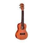 Ukulele Shelby by Eagle SU 23M Concert