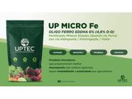 Uptec Micro Ferro EDDHA 6% 1 Kg - Tecseed