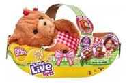 Ursinho Pelucia Interativo Little Live Pets - Urso Cozy Dozys Beau 25 Sons e Reações - Fun