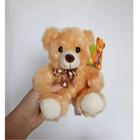 Urso de Pelúcia Caramelo 15 cm Fizzy Toys