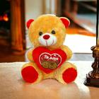 Urso de Pelúcia com coração brinquedo super fofo 21 cm/s para cestas