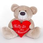 Urso de Pelúcia Grande 60cm Coração Presente Feliz Dia Dos Namorados Varias Cores