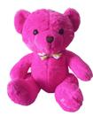 Urso de Pelúcia Rosa 36cm com gravatinha e bordado Love