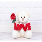 URSO PELUCIA TEDDE 22 cm - LOVE VERMELHO