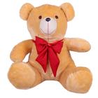 Urso Teddy De Pelúcia Tamanho 50cm G - Luckbaby02