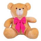 Urso Teddy De Pelúcia Tamanho 50cm G