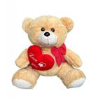 Urso Ternura Apaixonado G - 50 cm-7899687515456