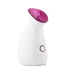 Vaporizador Facial Elétrico 70ml - Limpeza Suave e Profunda para Cuidados com a Pele