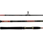 Vara para Molinete Aeris 30-60lbs 1,60mts 1 Parte - Rapala