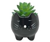 Vasinho De Ceramica Gato Bigode Preto Para Suculenta E Flor