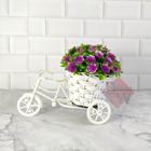 Vaso Bicicleta Miniatura com Arranjo de Flores - Decoração