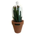 Vaso Com Tampa De Vidro Candelabra Cactus Verde e Laranja