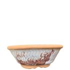 Vaso cuia bacia de cerâmica p/rosa do deserto, bonsai, cactos, suculentas - cores variadas