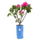 Vaso De Plantas E Flores 1 Litro Feltro Com tiras autocolantes Azul - King Pot