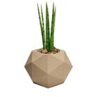 Vaso decorativo para plantas e flores cachepô 22x25cm polietileno jateado luxo elegante mesa de centro