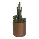 Vaso Decorativo Planta Suculenta Verde 17cm - D'Rossi