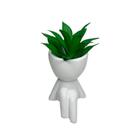Vaso Decorativo Robert Plant Banheiro + Suculenta