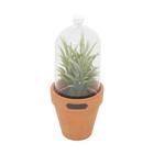 Vaso Decorativo Yucca Sucullent Verde 22cm Urban