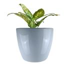 Vaso Estilo Vietnamita Vitrificado 42cm V02-03