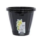 Vaso para Plantas Decorativo Cachepot Com Prato N13 Uninjet