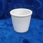 Vaso Para Plantas Suculentas Polietileno Redondo (nao com flores) - Ying