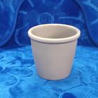 Vaso Para Plantas Suculentas Polietileno Redondo (nao com flores) - Ying