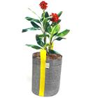 Vaso Plantas Decorativo De Tela 15 Litros King Pot