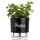 Vaso Raiz Auto Irrigável 16x14 Preto Hortelã Anti Dengue