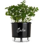 Vaso Raiz Auto Irrigável N3 16x14 Preto Salsa Temperos