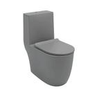 Vaso Sanitário Monobloco Amazonita Pingoo.casa - Cinza