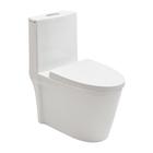 Vaso Sanitario Monobloco Painita