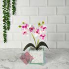 Vaso Transparente com Arranjo Flor de Orquídea Artificial
