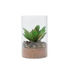Vaso Vidro Com Planta Artificial Life Terrarium Transparente 7,8X7,8X12 cm