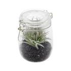 Vaso vidro/plastico aloe cactus verde 13.08x10.16x13.97cm - Urban