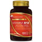 Vegan Vitamina B12 Metilcobalamina + Ferro + Ácido Fólico 60Caps - Flora Nativa do Brasil